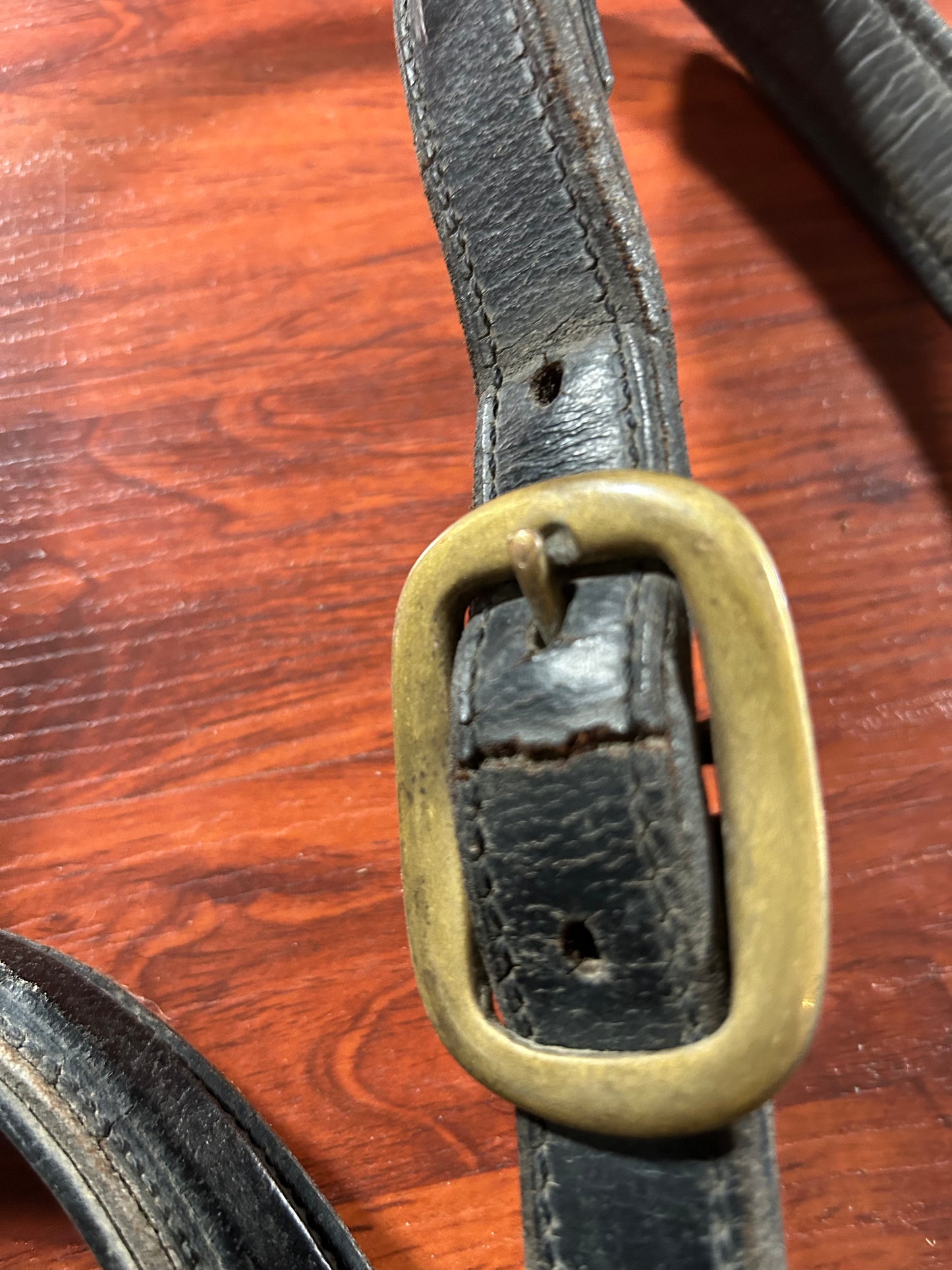 Black leather halter full size loop