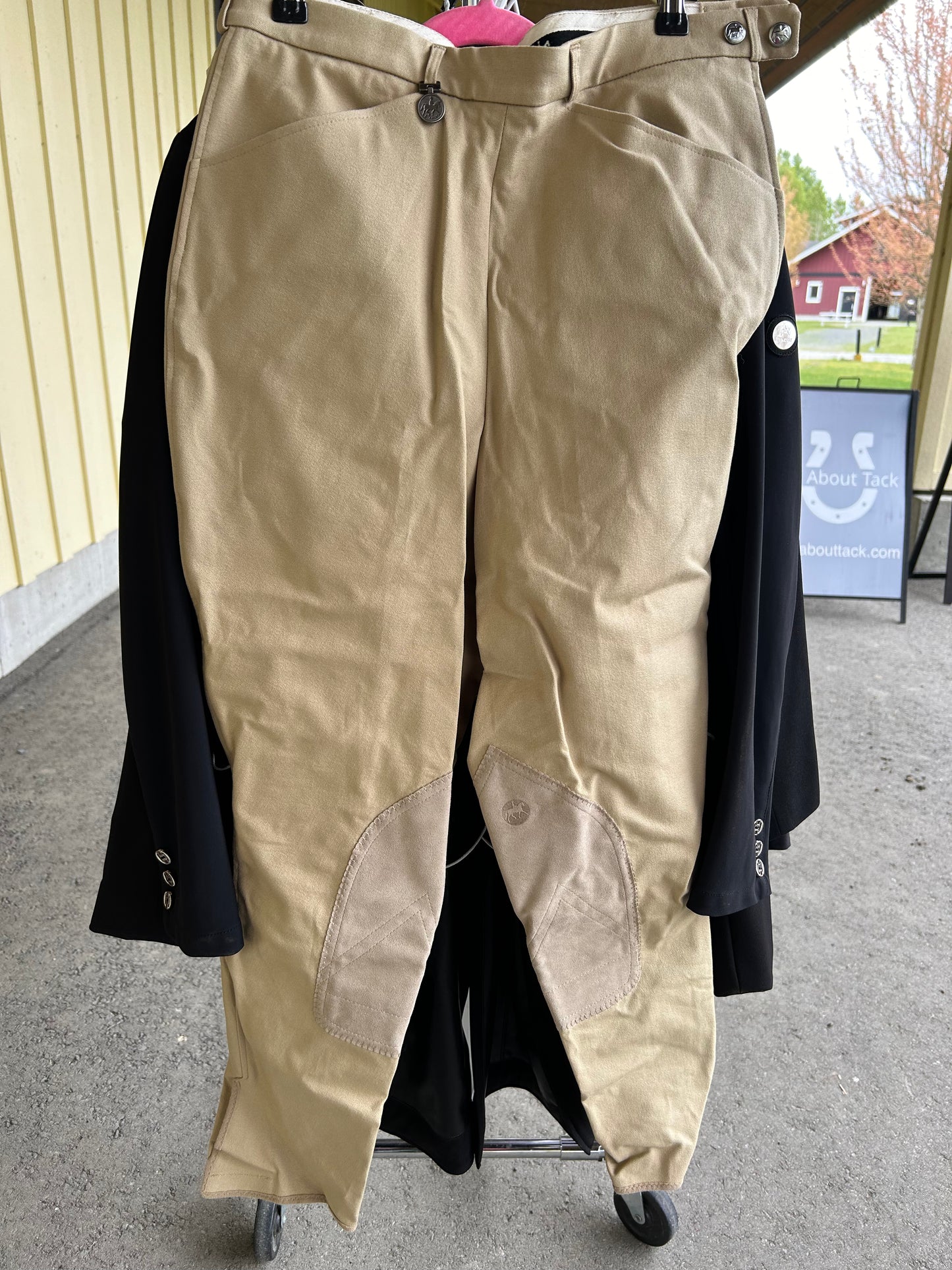 32L Pikeur “the winner” knee patch
