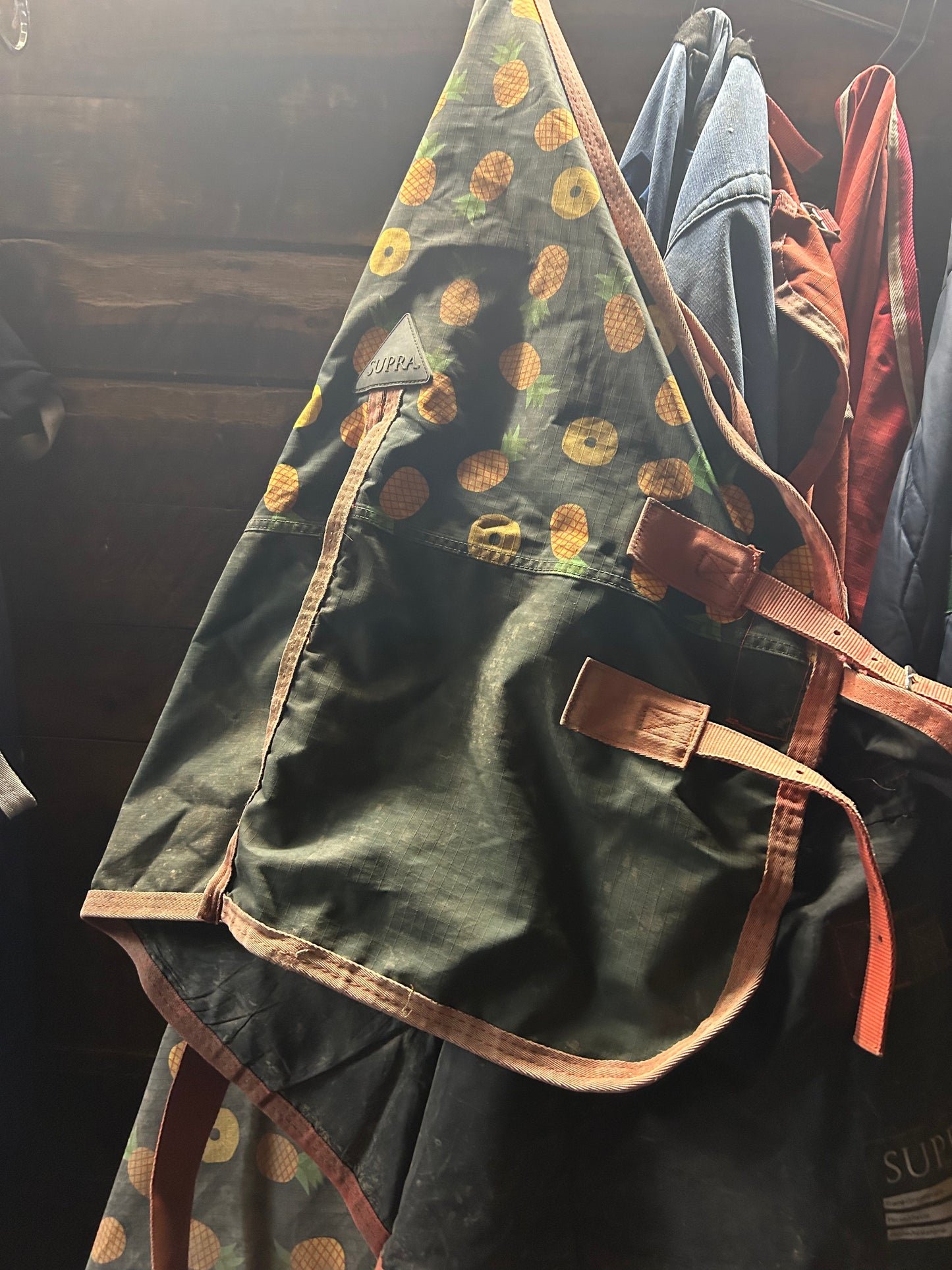 Supra 72” purples rain sheet. Needs waterproofed. Dirty.