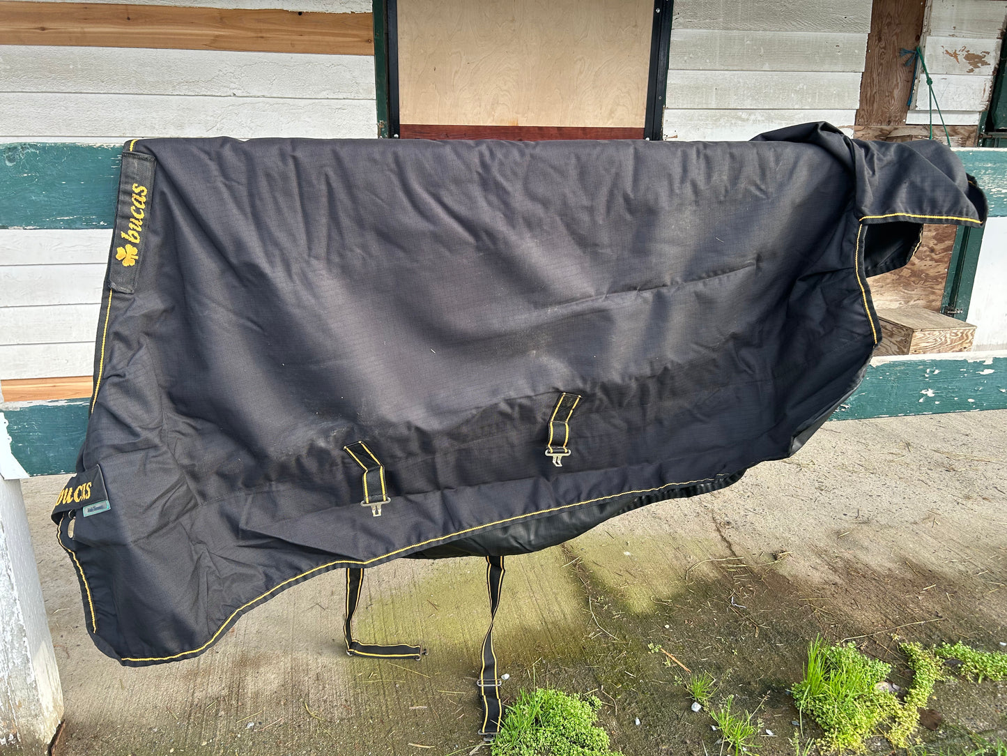 72” bucas Irish extra winter turn out. Good condition.