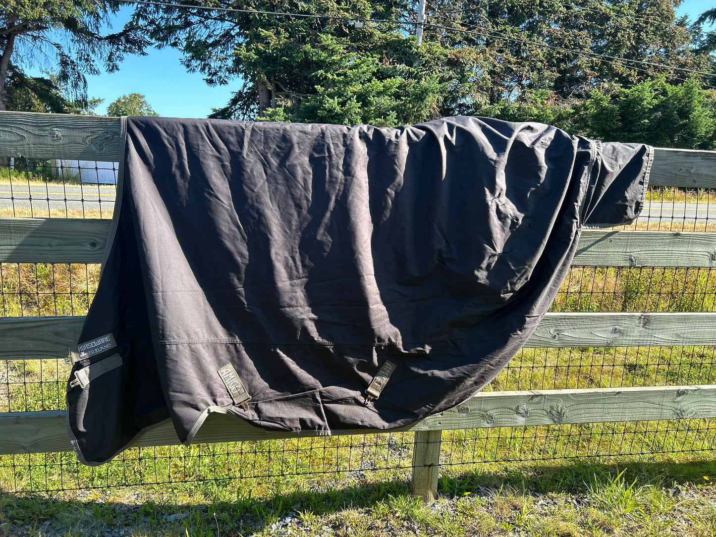 84” amigo blanket