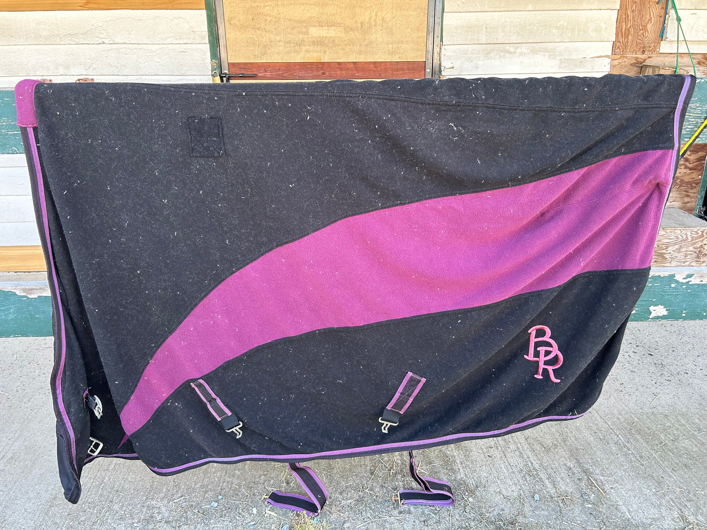 BR forever cooler black and purple. Small (72-75”)