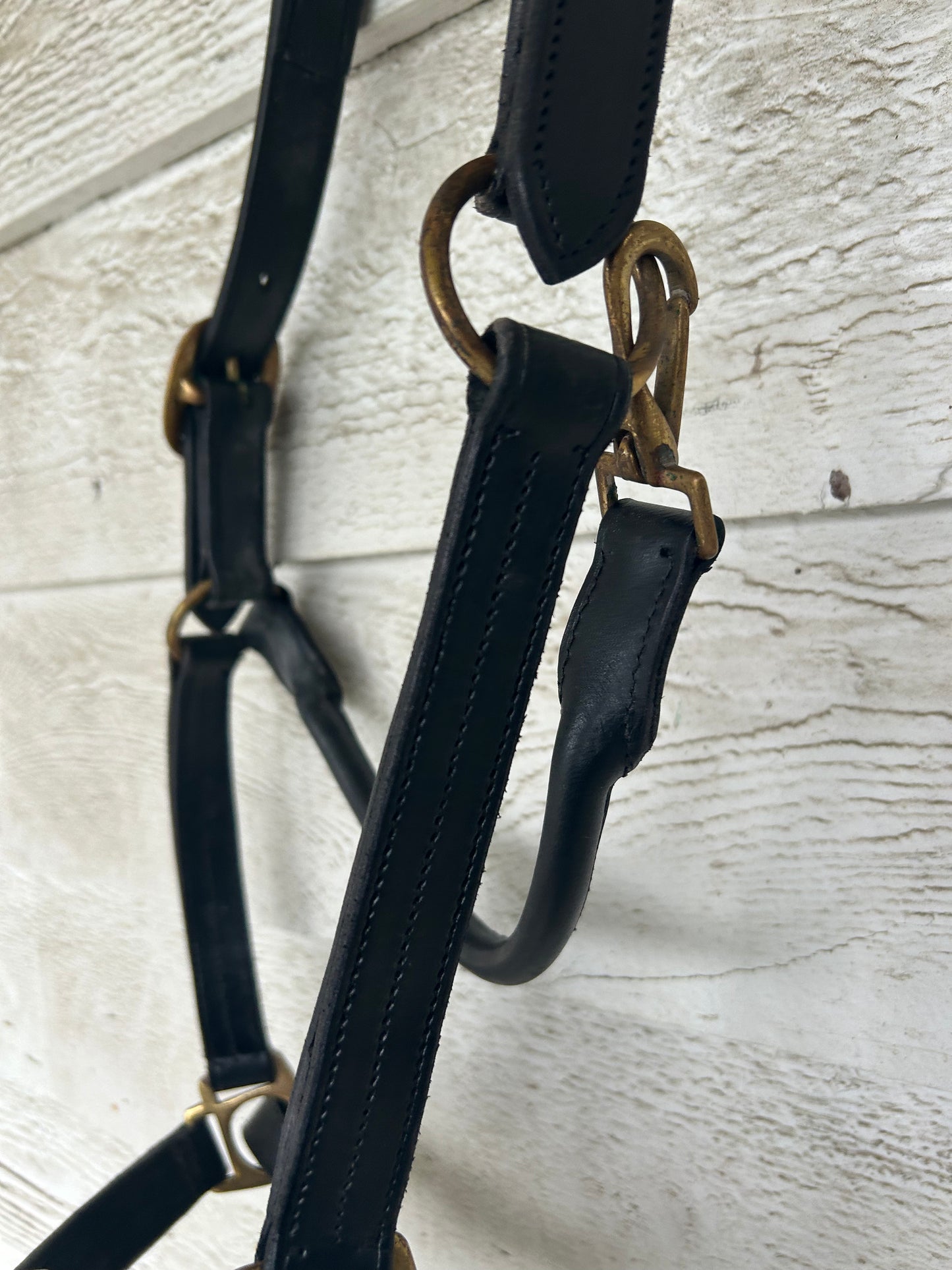 Black cob leather halter. Brass hardware.