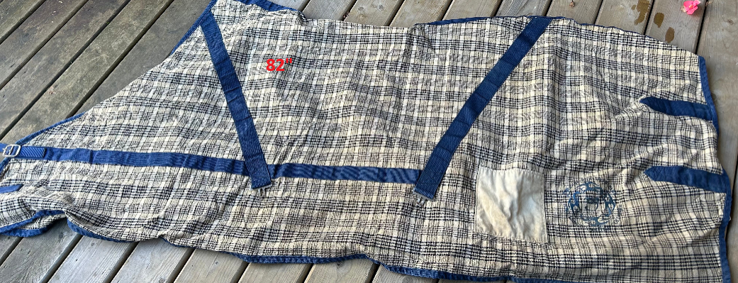 Sheet and blanket lot 78-82" or large
