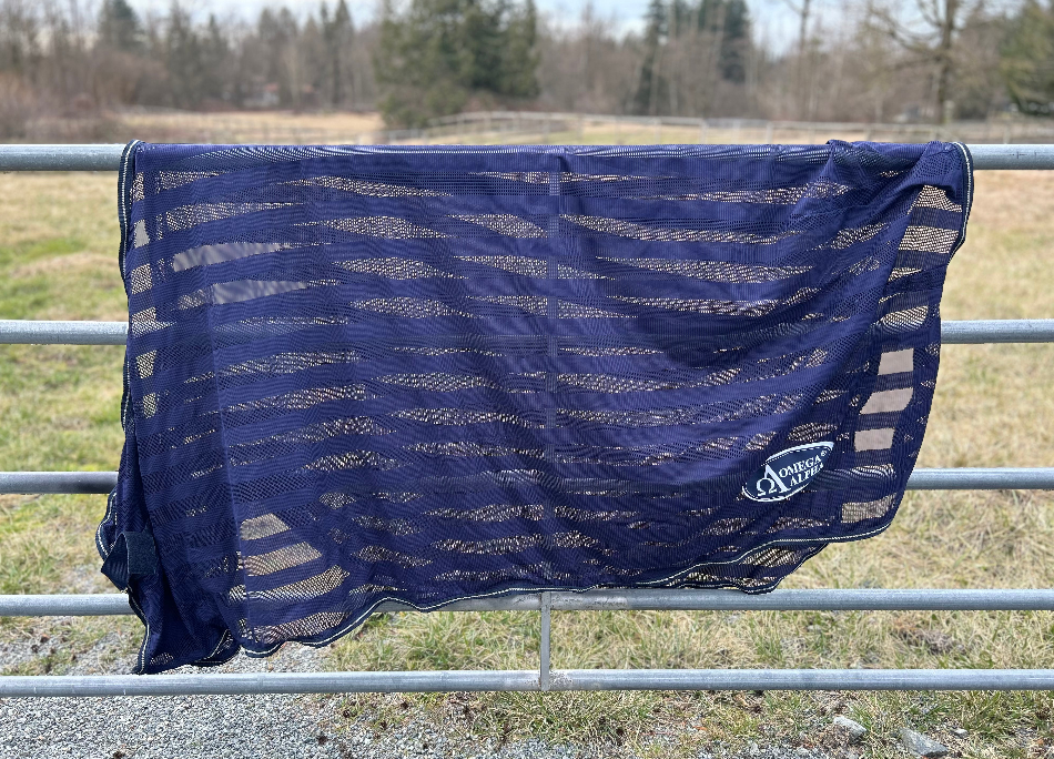 Sheet and blanket lot 78-82" or large