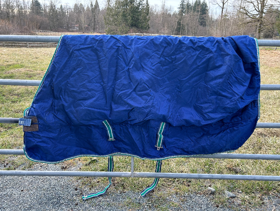 Sheet and blanket lot 78-82" or large