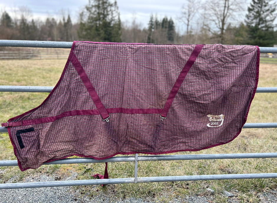 Sheet and blanket lot 78-82" or large
