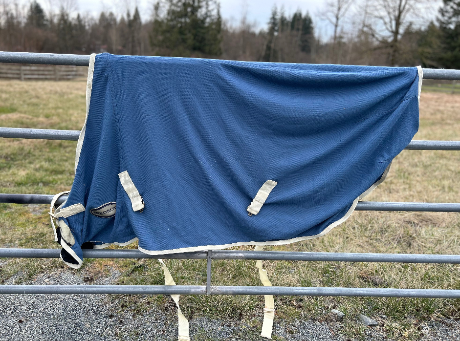 Sheet and blanket lot 78-82" or large