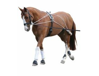 Can Pro Lunging System