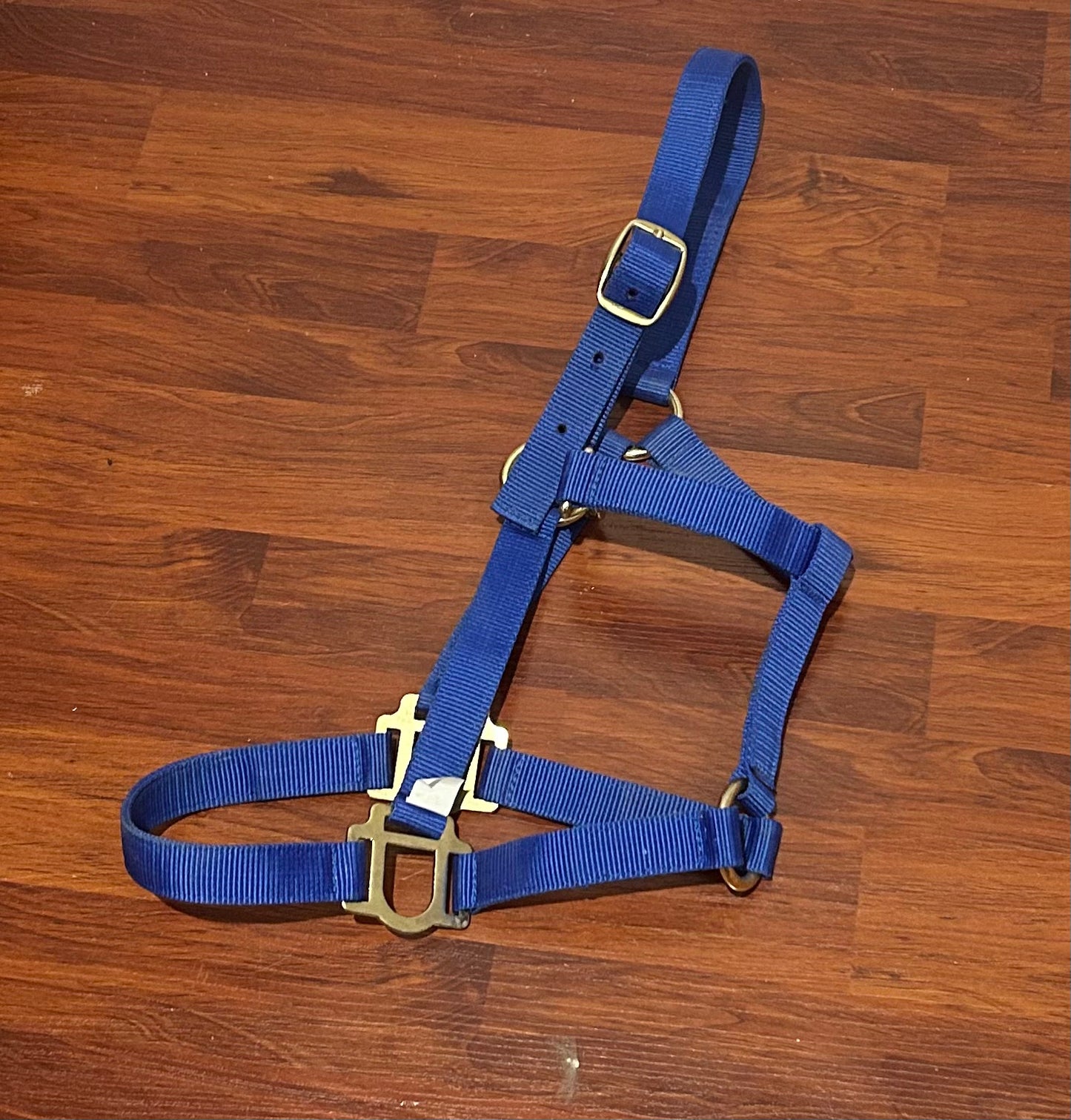 Supra cob size blue nylon halter