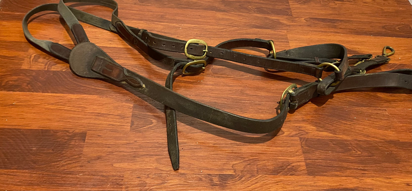 Brown leather breastplate full size