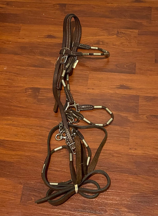 Arab show halter with chain lead