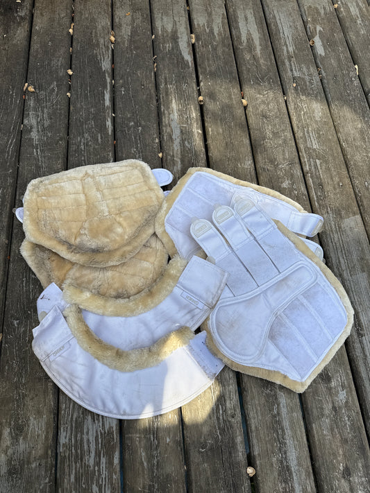 Eskadron brushing boots with matching bell boots