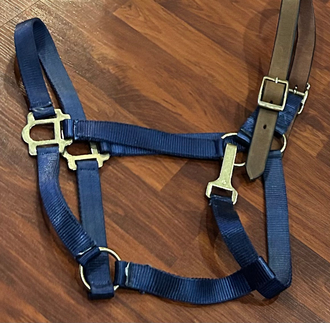 Blue nylon halter with leather crown XF