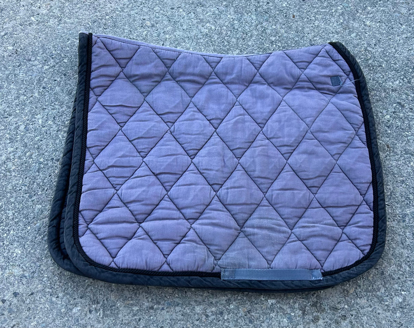 BR dressage pad grey