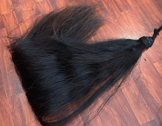 Black with brown highlights long thick black tail