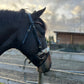 Halter Ego Tropicana full size snaffle bridle