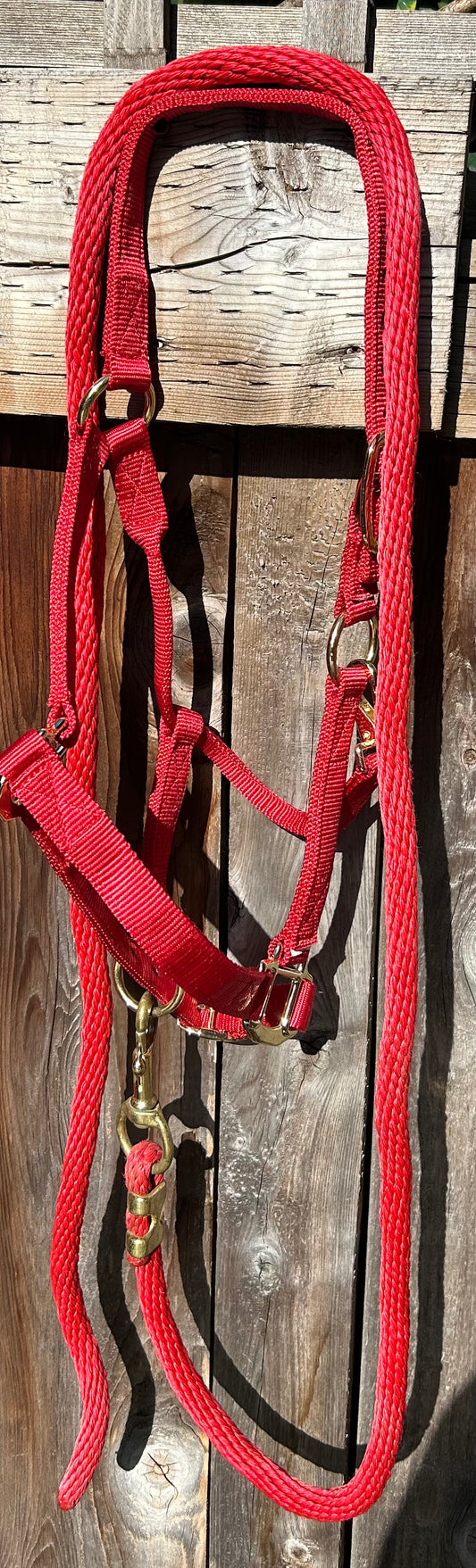 Shedrow red nylon halter and lead rope