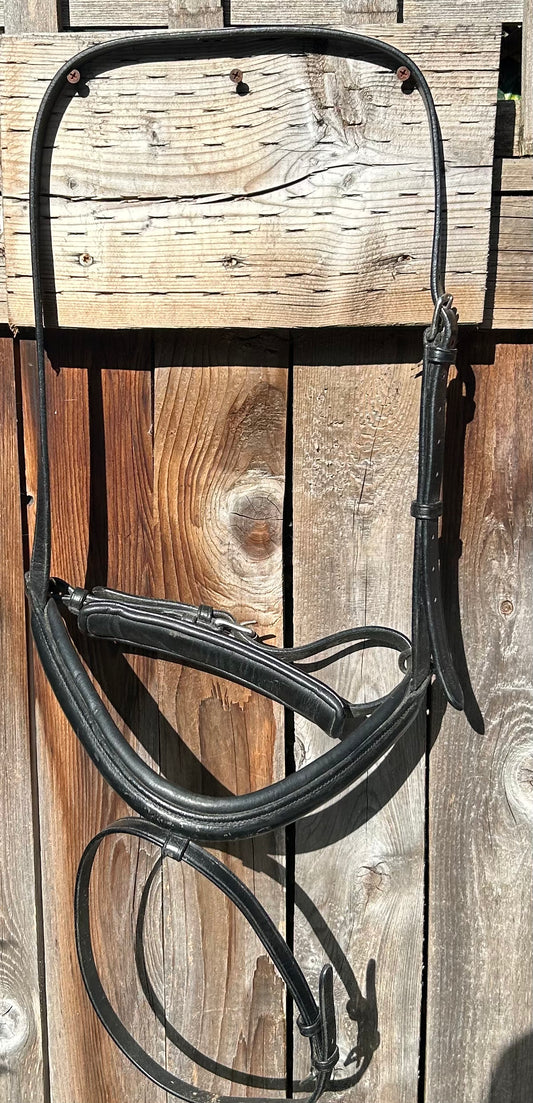 Bobby’s XF noseband crank with flash