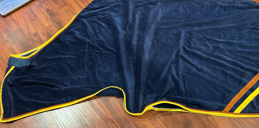 Small navy cooler. No straps.