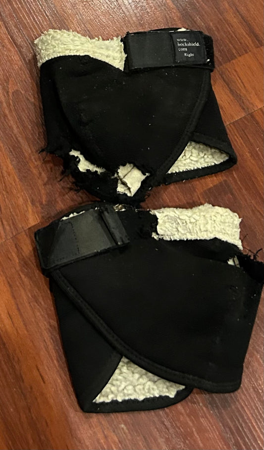 Hock shields. Set. Quite damaged. Small/medium