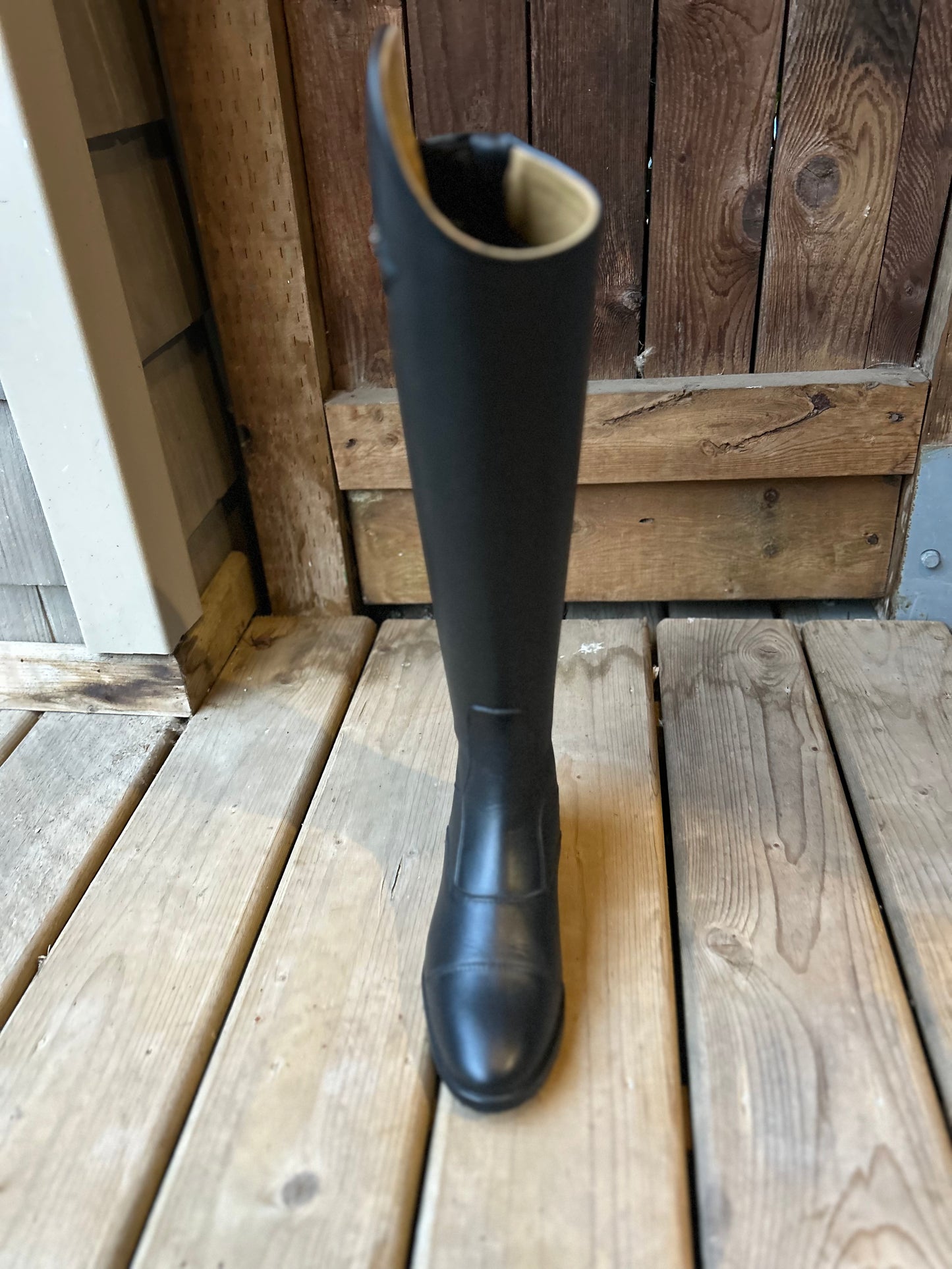 Kingsley Aspen black size 34 MC-XXS 14” calf 19.5” tall. 507212