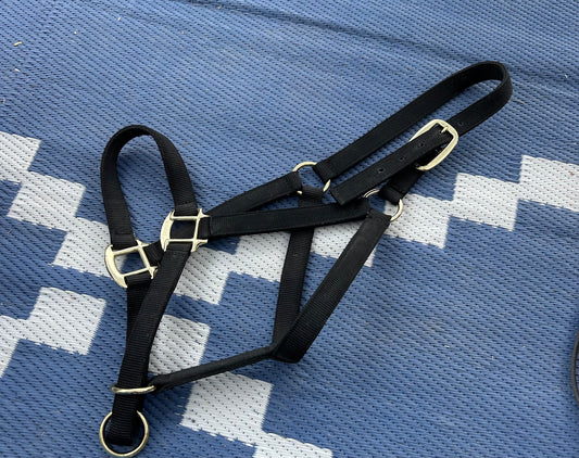 WRH black nylon control halter full size