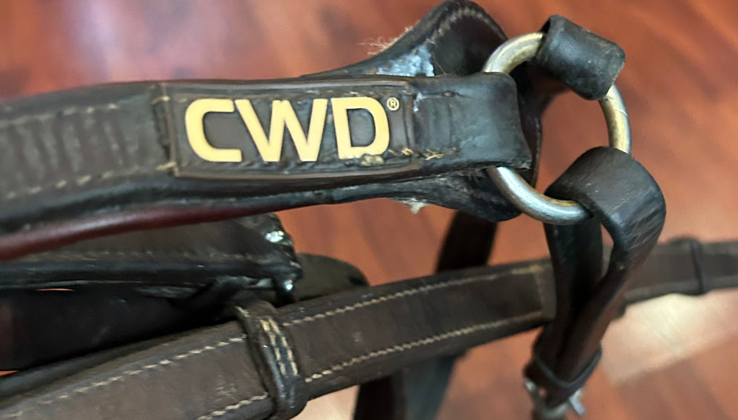 CWD full size breastplate. Fleece is worn.