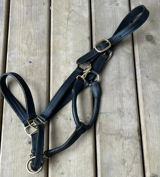 Full size leather halter dark brown