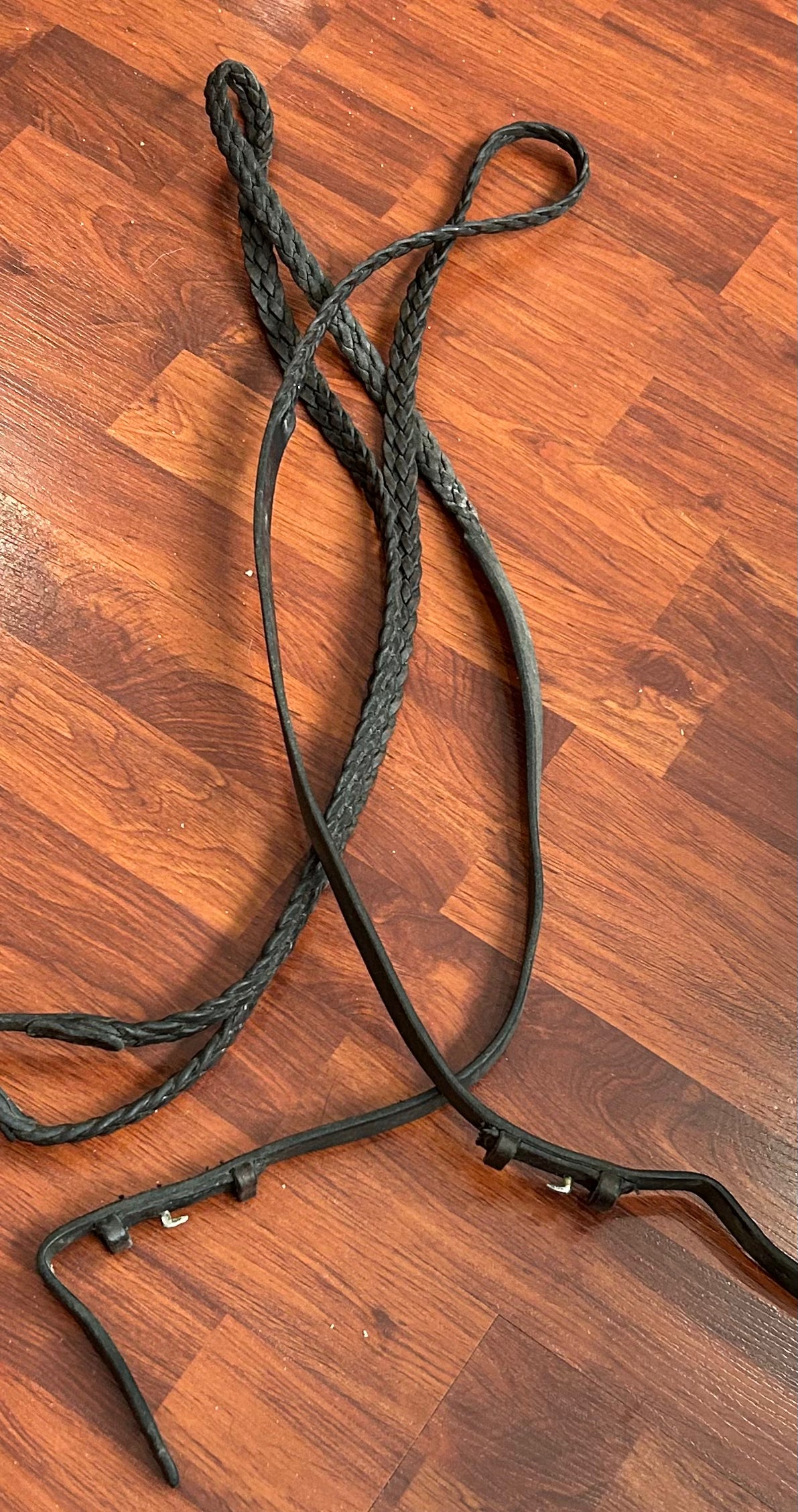 Braided brown reins