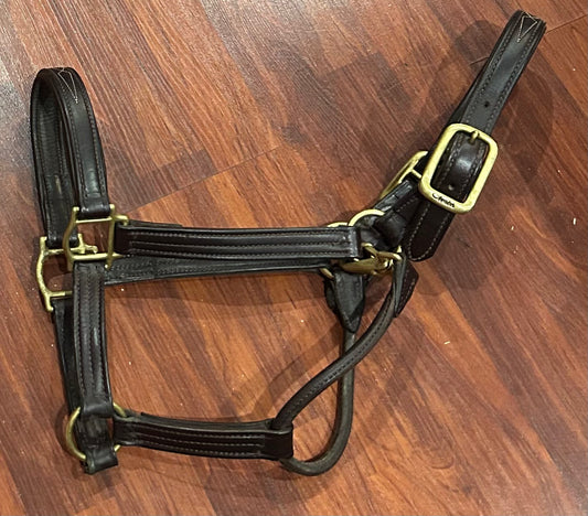 Walsh full size brown leather halter. Very good condition.