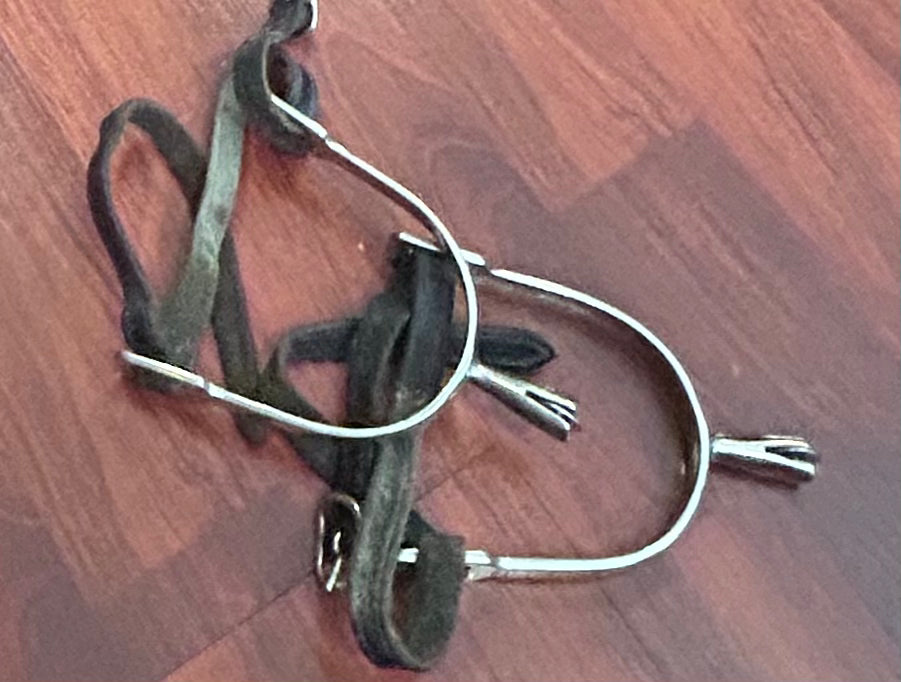 Smooth disk rowel spurs with older leather straps