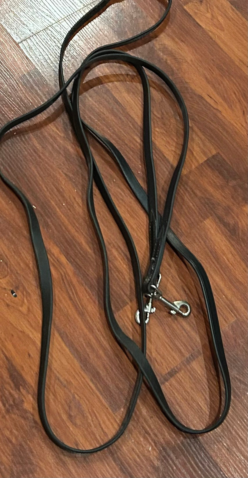 Leather draw reins with clips