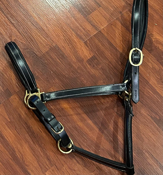 XF black Horze halter