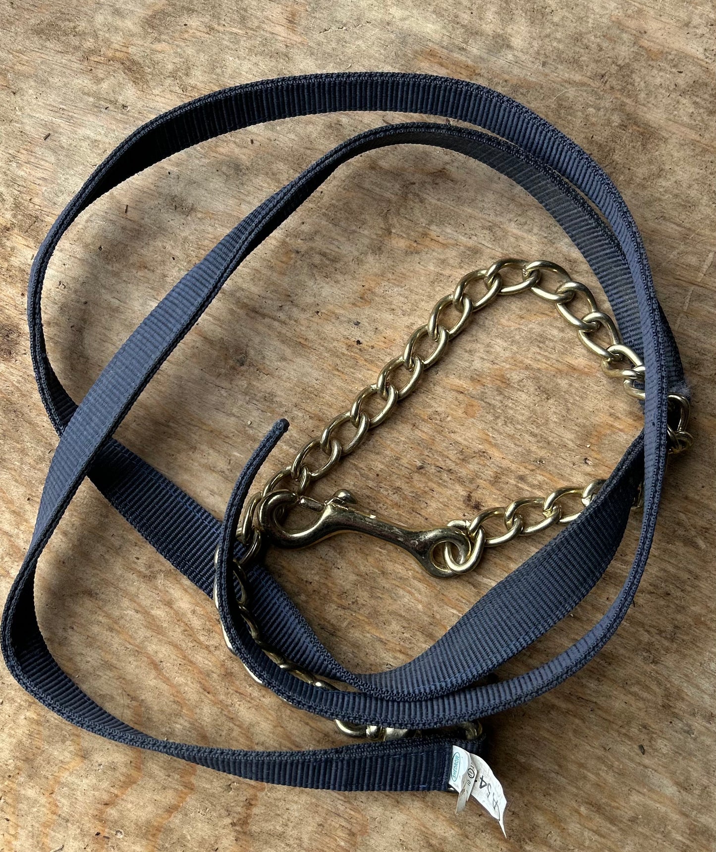 Blue lead with 24” chain