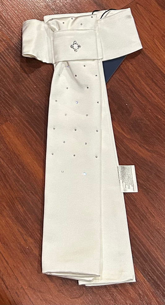 Stock tie with bling. New