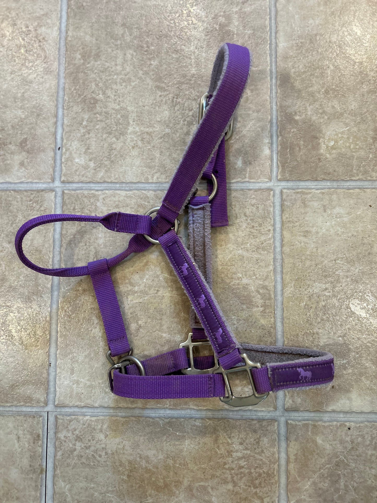 Shedrow purple full size halter