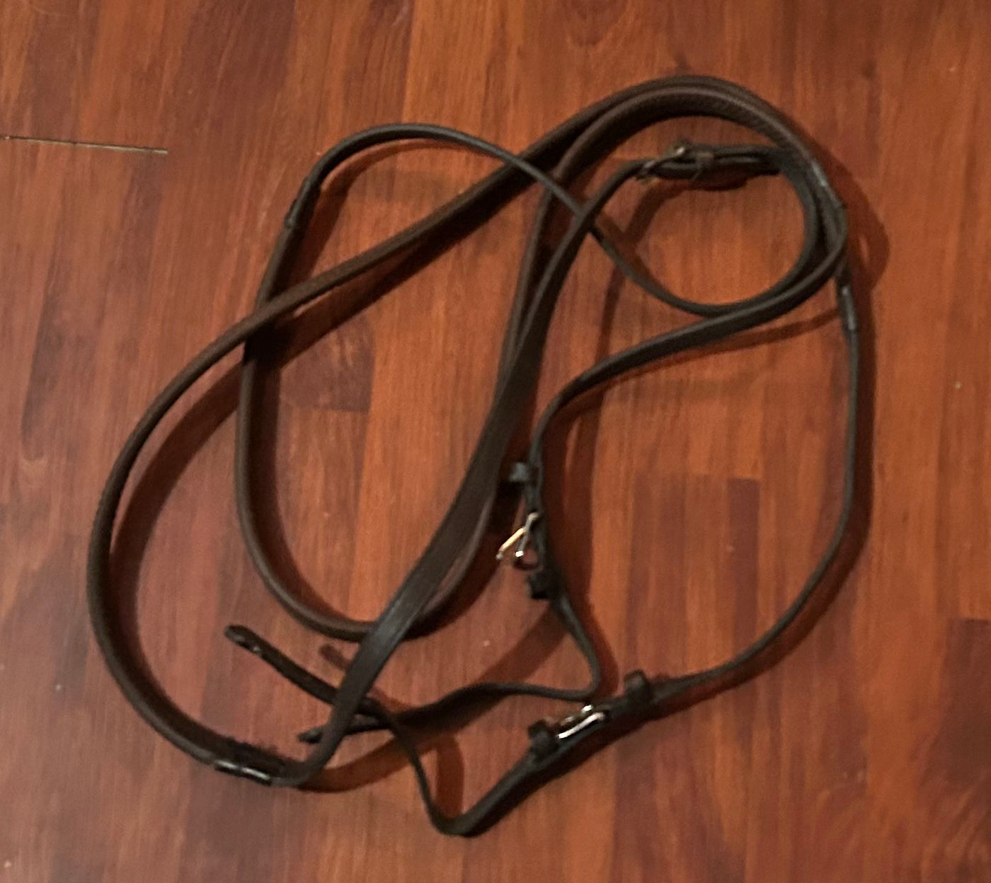 Brown rubber reins