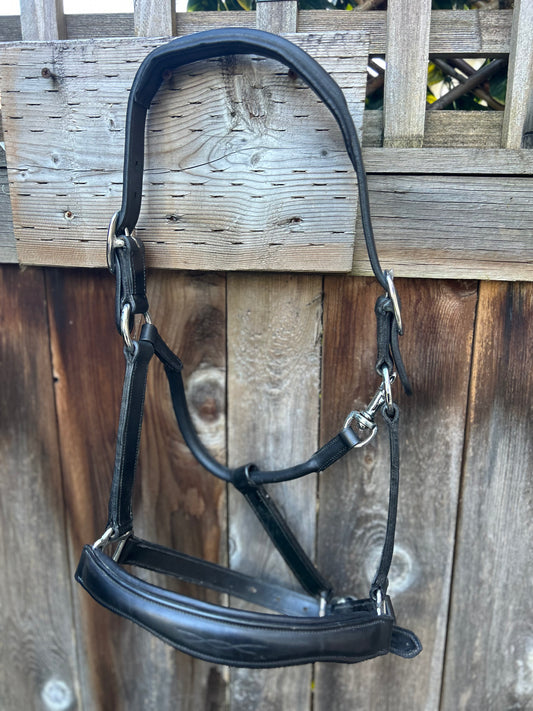 Antares horse size black leather halter. New without tags