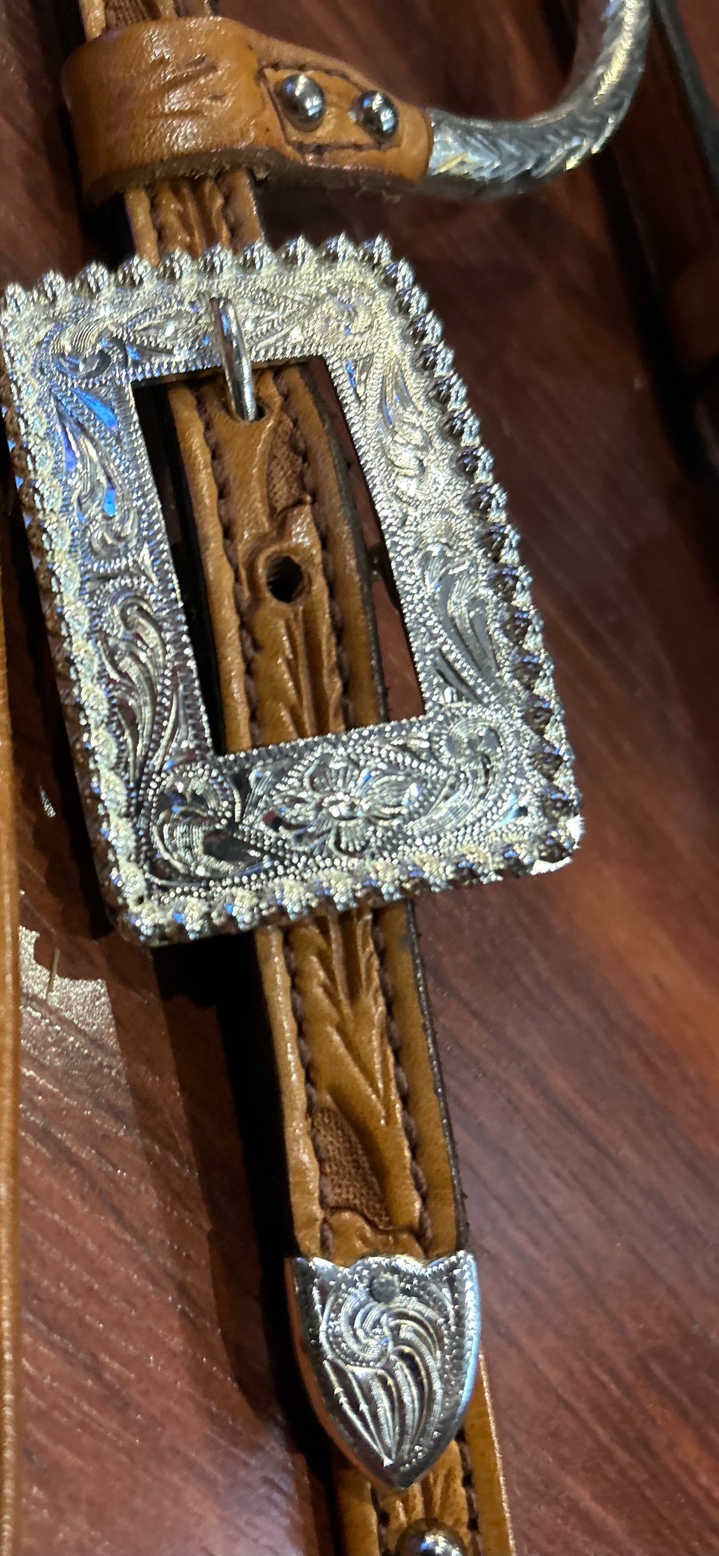 Kathy’s Santana headstall #11 with quick change bit ends