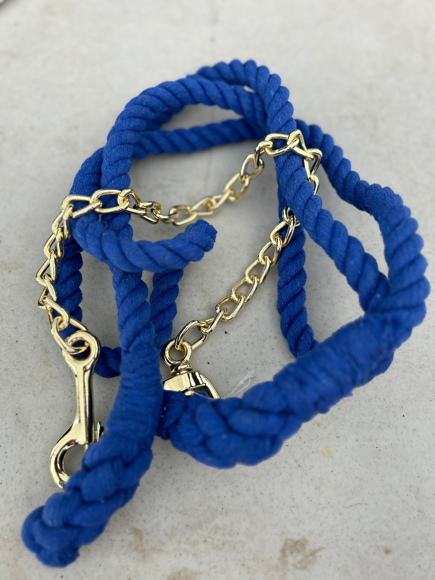 Blue lead with 24” brass chain