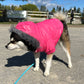 Large (small dog) pink jacket with faux fur lining