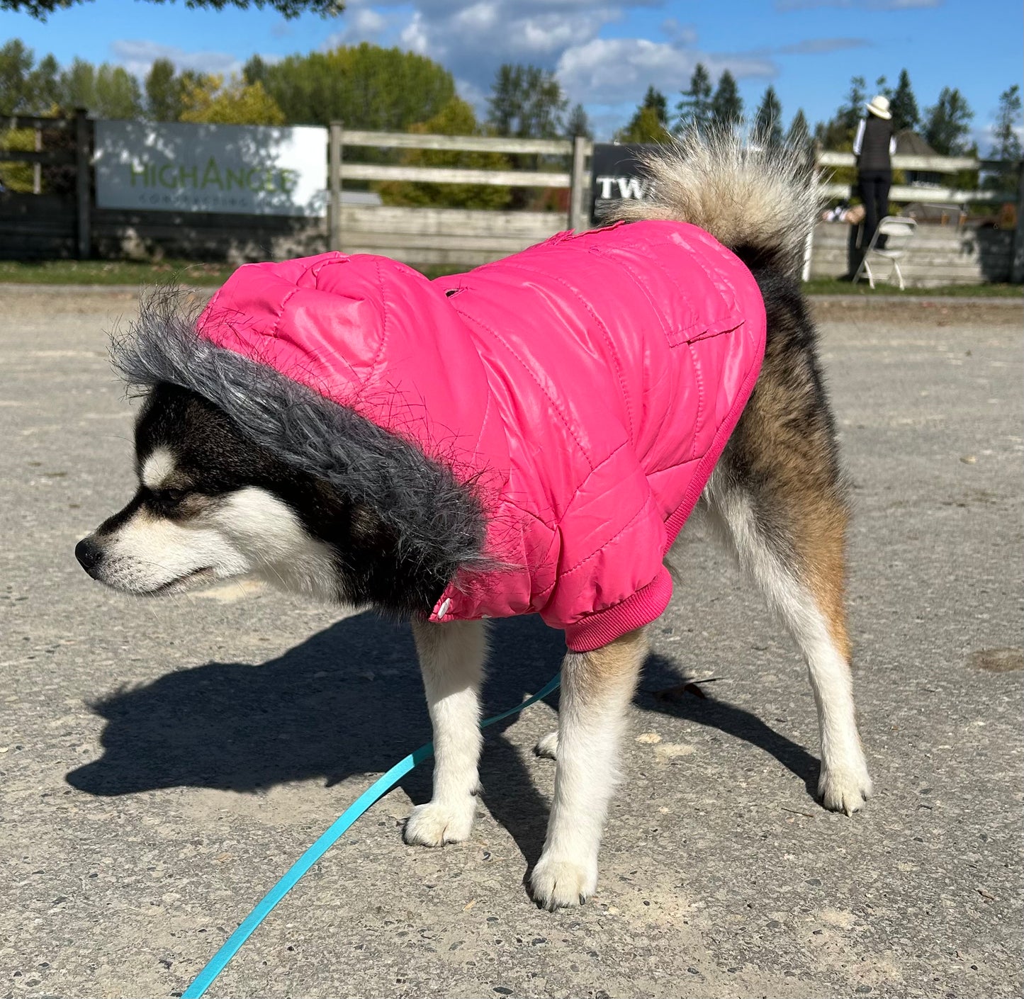 Large (small dog) pink jacket with faux fur lining