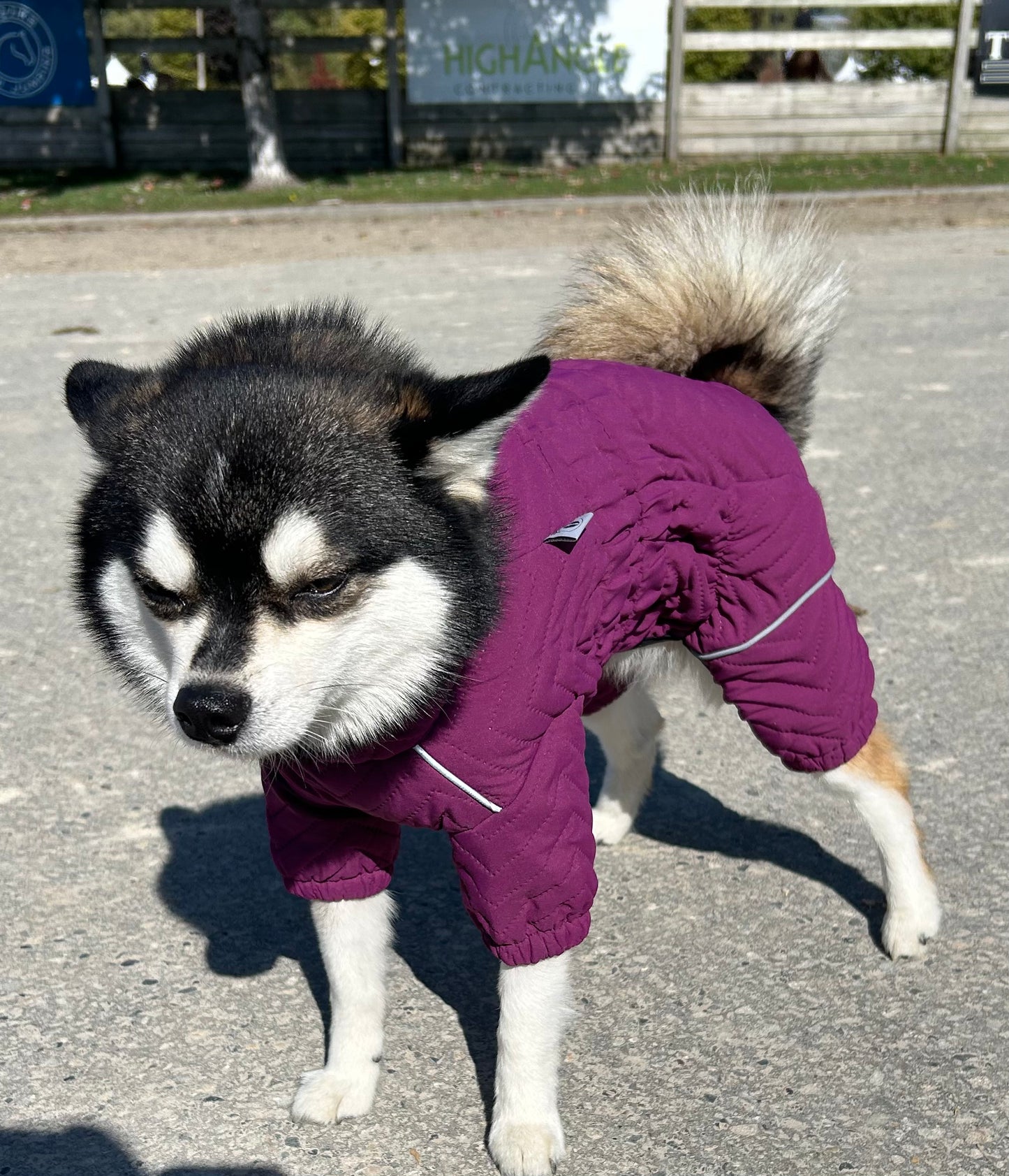 Med Love long winter dog jacket