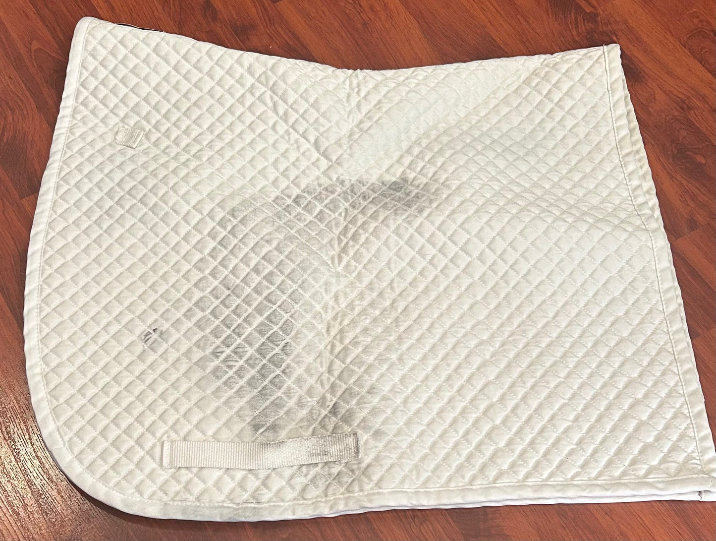 Century white dressage pad thinner
