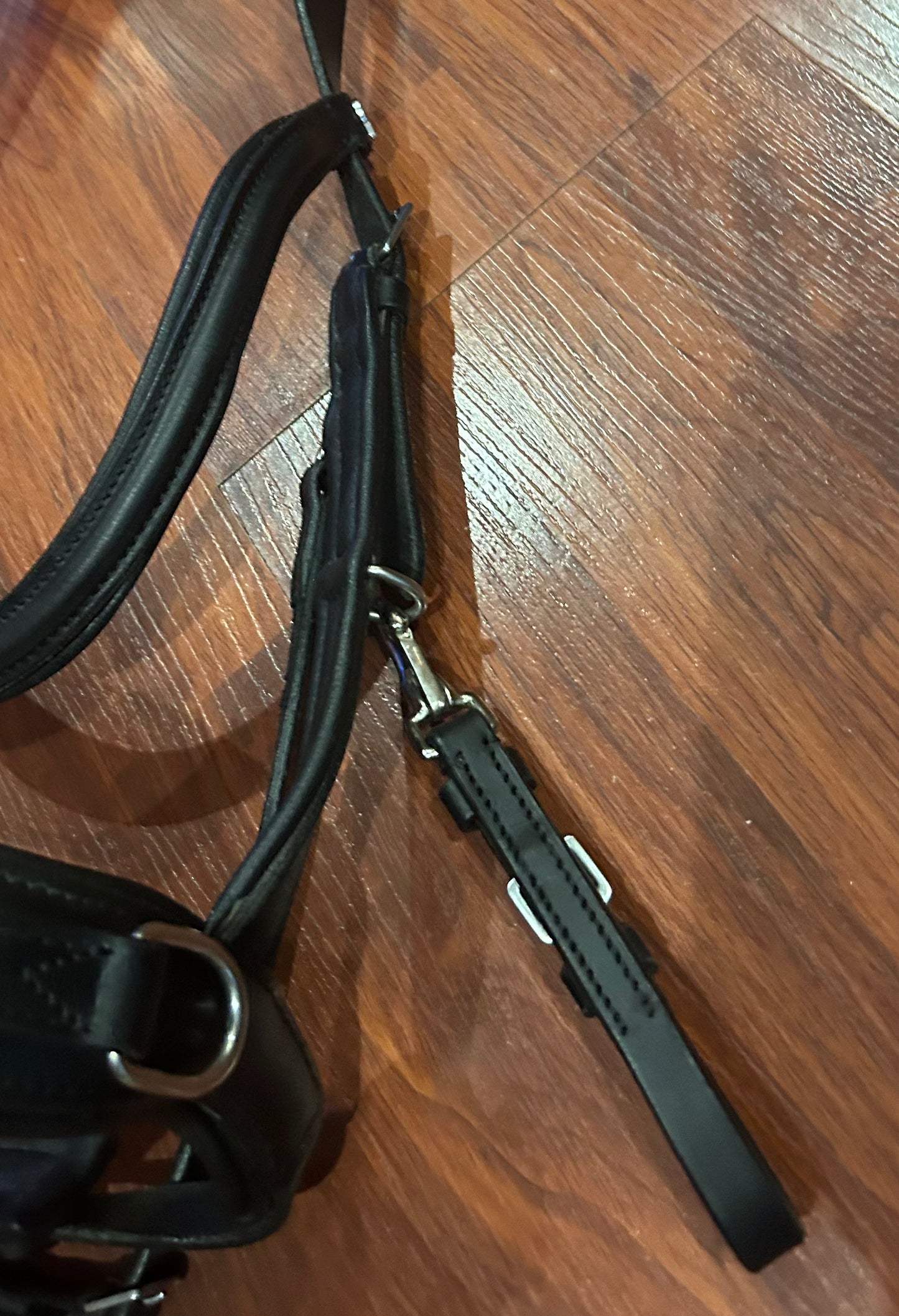 Waldhausen full size anatomical lunging Cavesson. Use with or without a bit