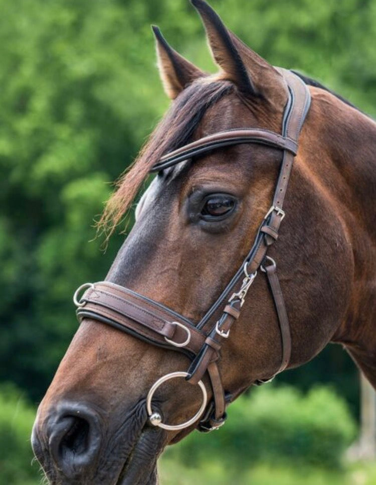 Waldhausen full size anatomical lunging Cavesson. Use with or without a bit