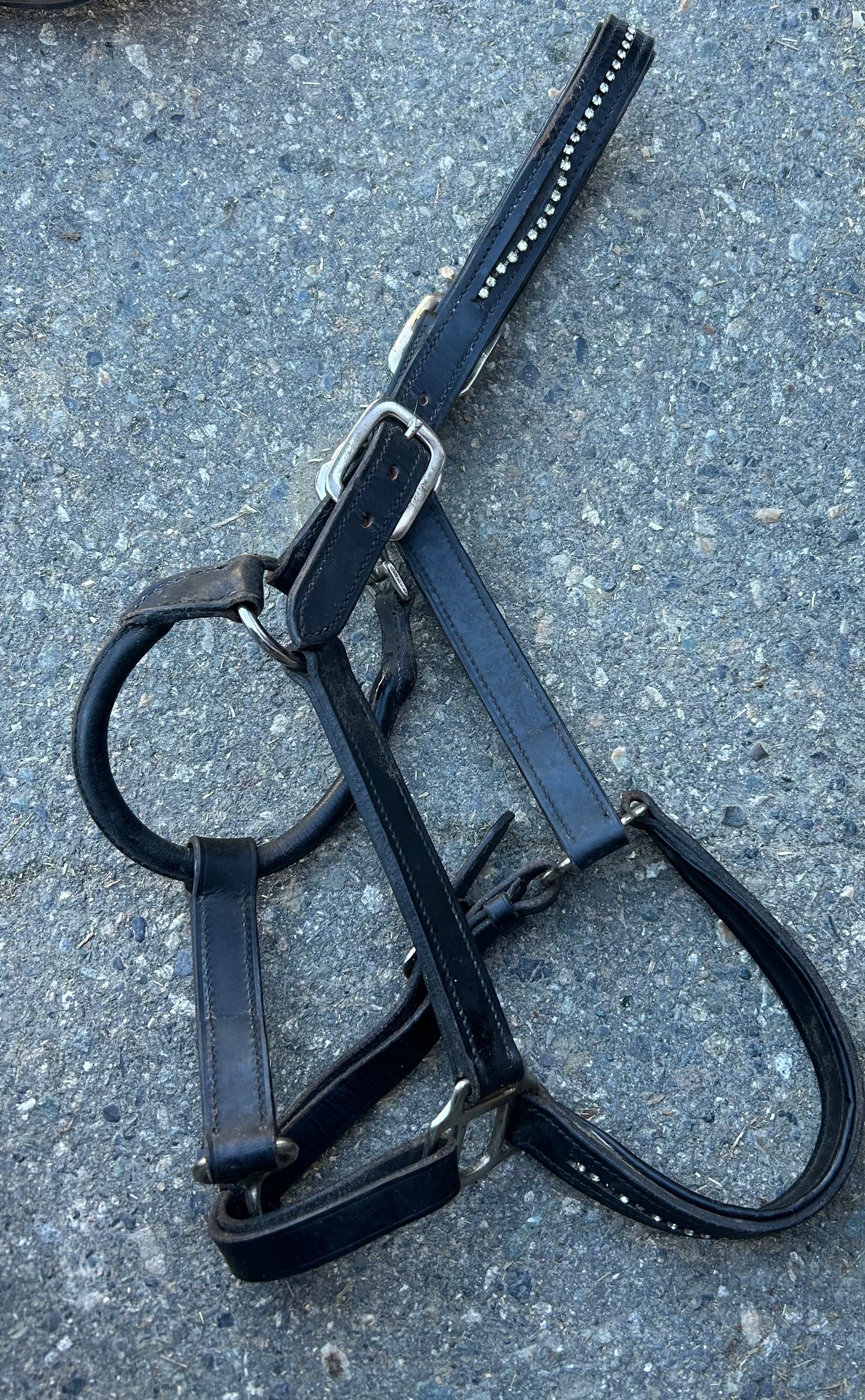 Full size leather halter