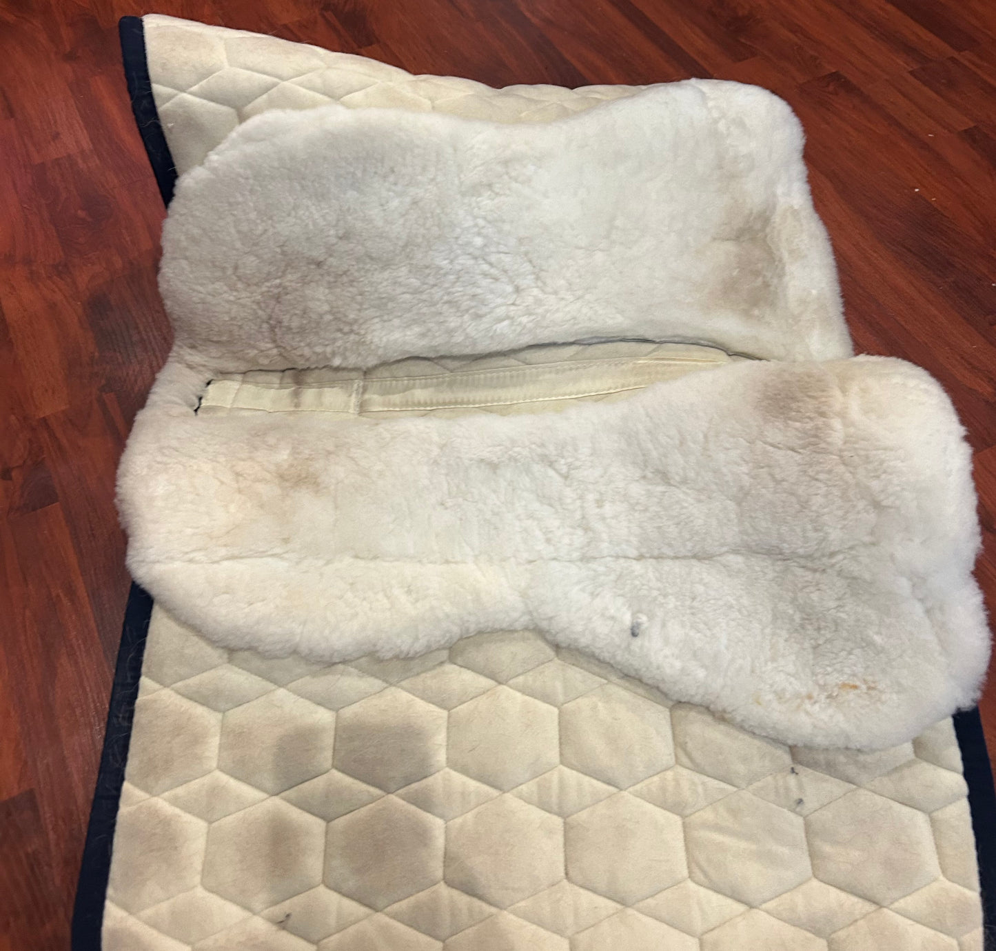 Mattes medium sheepskin dressage pad white with burgundy and navy trim