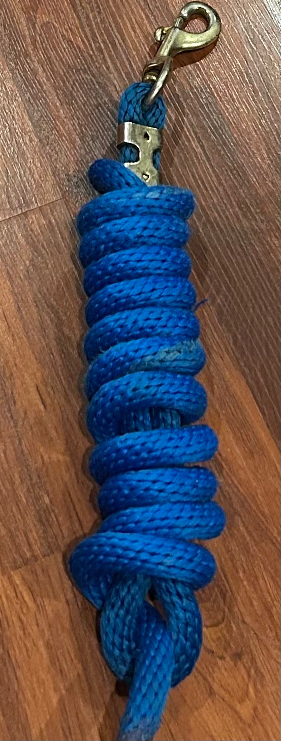 Blue lead rope